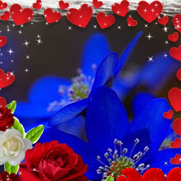 blueflower484